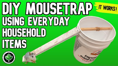 DIY MOUSETRAP Using Everyday Household Items