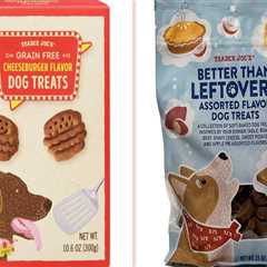 The Trader Joe's Dog Treats My Picky Dog Liked — and the Ones He Didn't