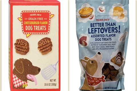 The Trader Joe's Dog Treats My Picky Dog Liked — and the Ones He Didn't