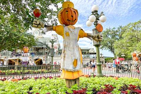 Why November 2nd Could Be an Important Day in Magic Kingdom