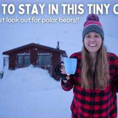 A Day in the Life in a remote cabin in Svalbard''s wilderness︱Arctic Island near the North Pole