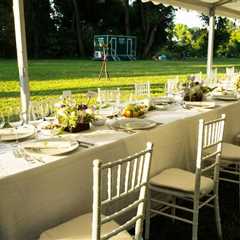 Aesthetics Over Everything: Niche Party Themes
