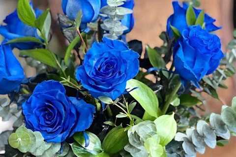 Christmas Decor Midland, TX · Tuesday, Aug 26 📸