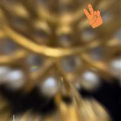 New designs top quality kundan earrings jhumky 24 carat gold plated Can b customize any colour and..